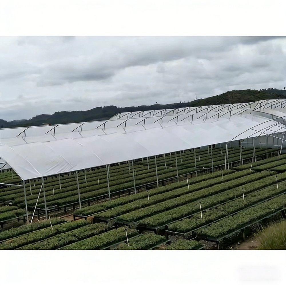 Aerial view of a block of gothic arch film greenhouses