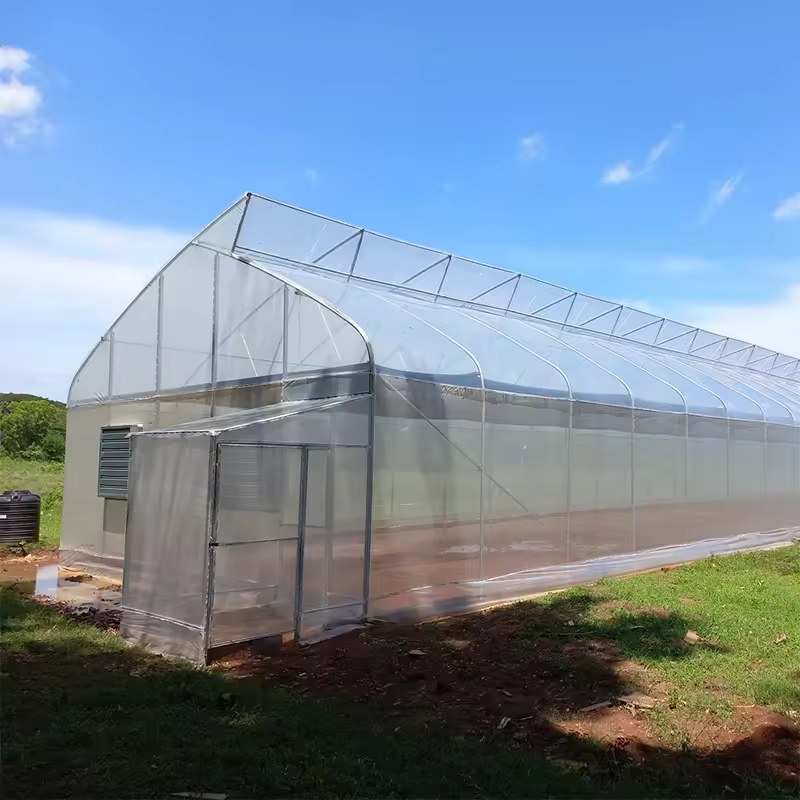 Film greenhouse with a raised ridge vent section along the roof under a blue sky