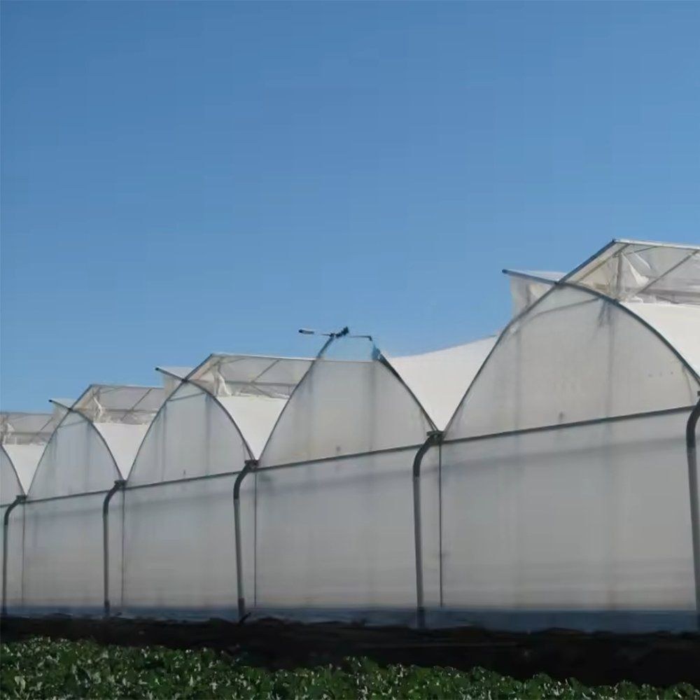 Gable film greenhouses under a blue sky
