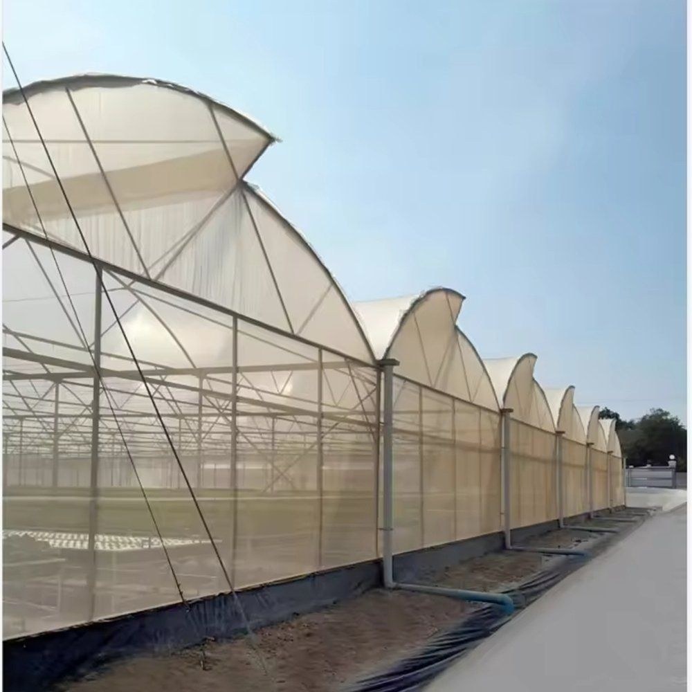 A row of gable film greenhouses along a roadway