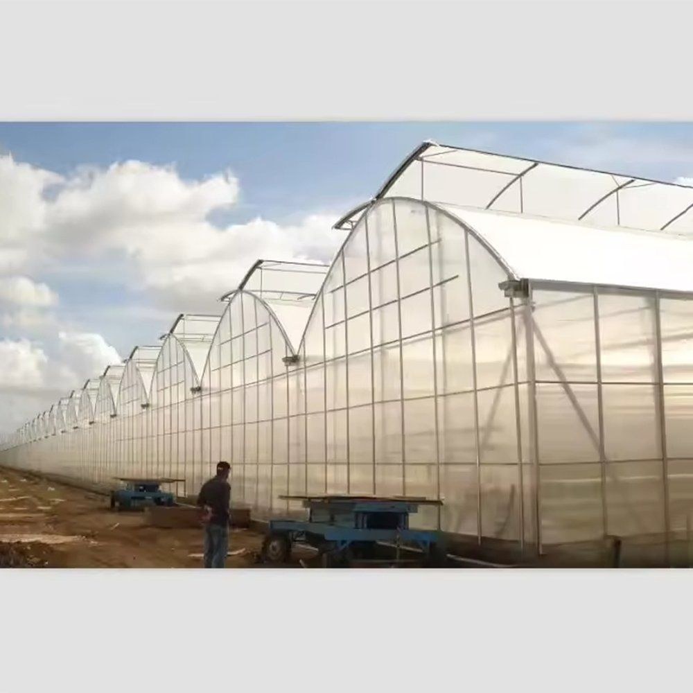Gable film greenhouses with a worker in front under cloud