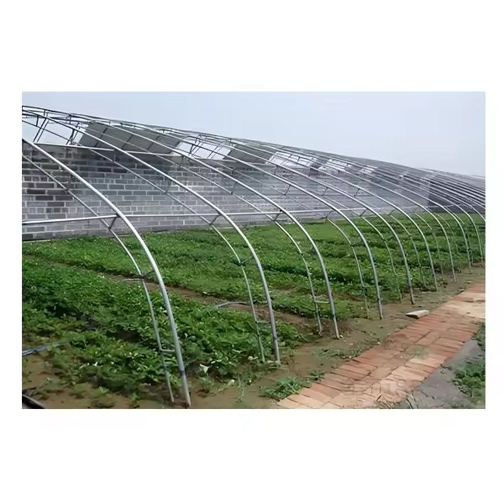 Arched greenhouse frame built from galvanized steel pipe over a crop