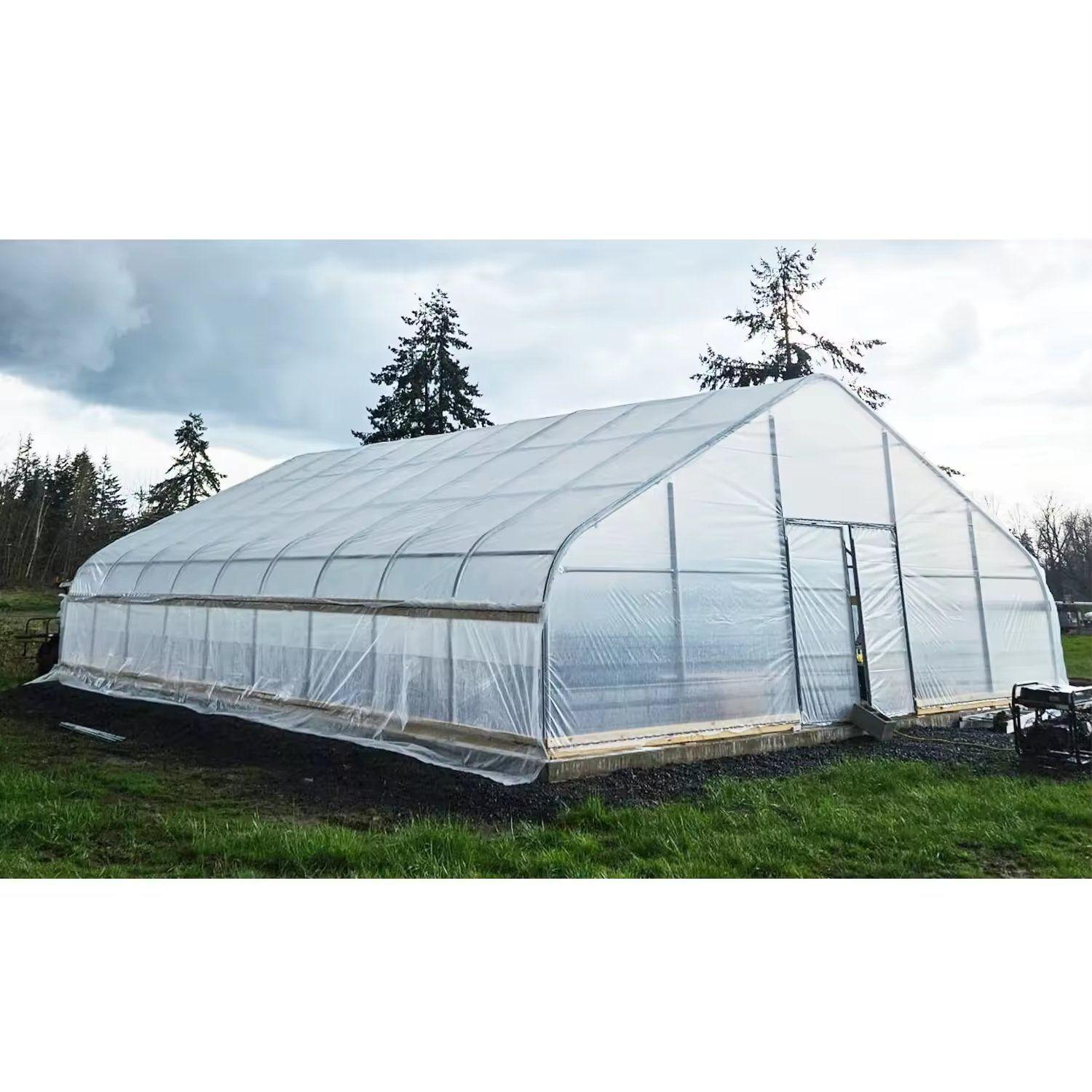 Single span film greenhouse standing on open ground