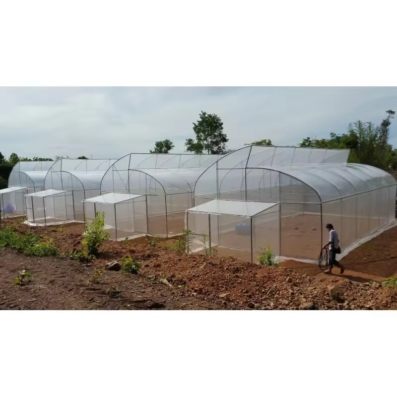 A row of film greenhouses set out across a growing site