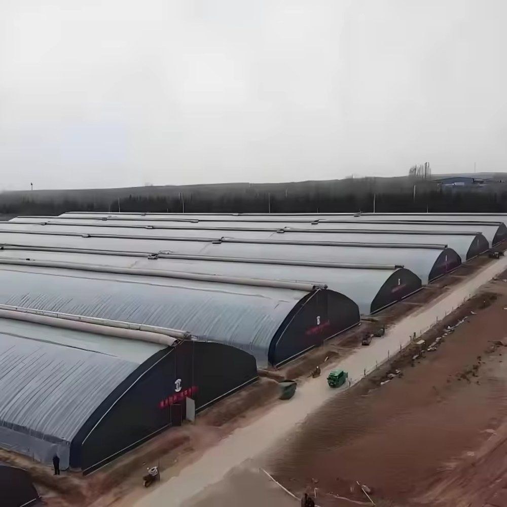 Aerial view of a block of arched film greenhouses