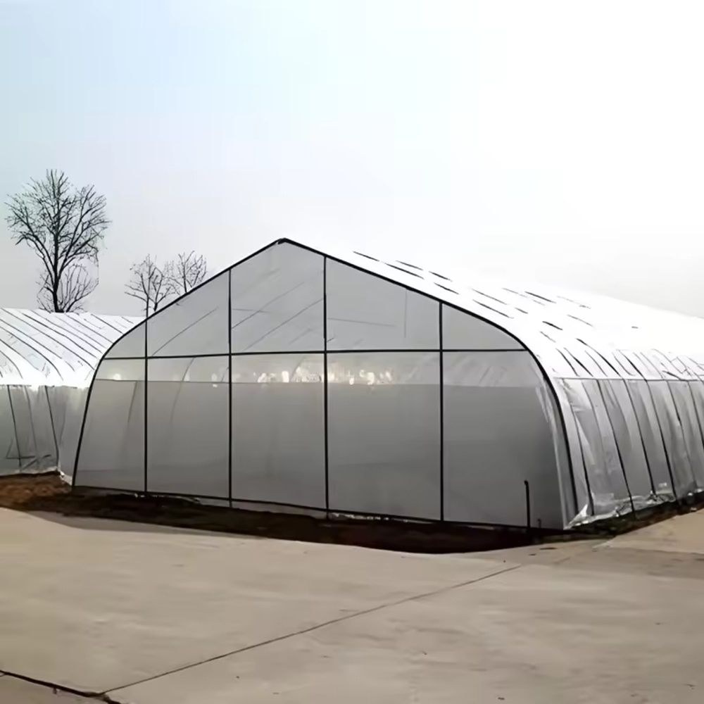 Film greenhouse with an arched roof and a concrete apron