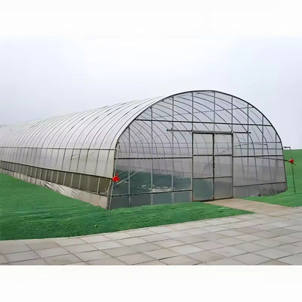 Commercial Grade Multi Span Greenhouse for Vegetable and Tomato Growing