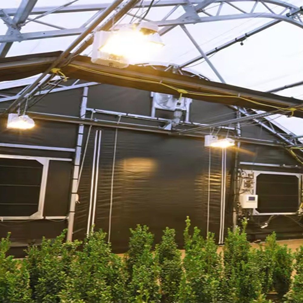 Grow lamps above a crop inside the greenhouse