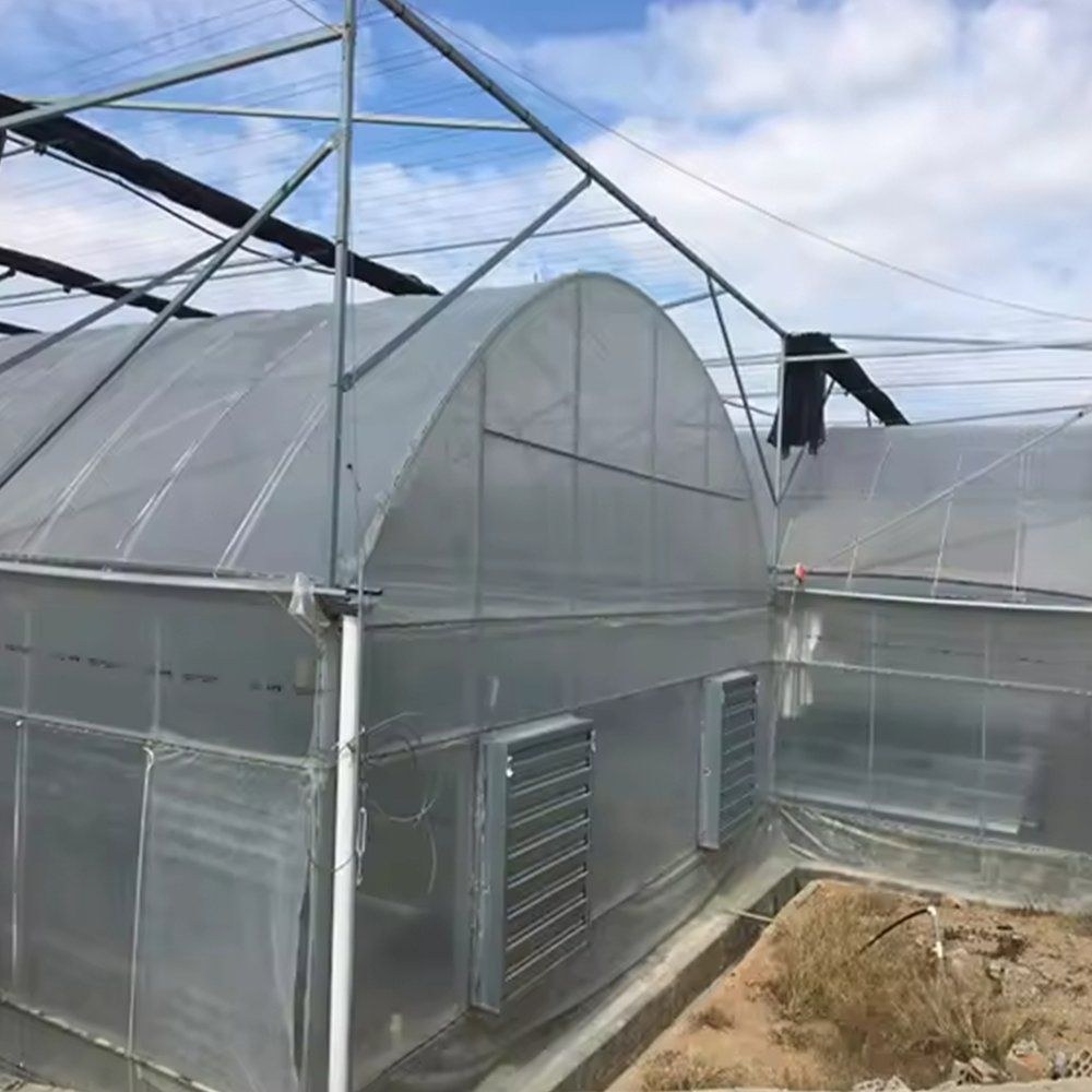 Greenhouse with framed panel walls and a louvre vent set into the side