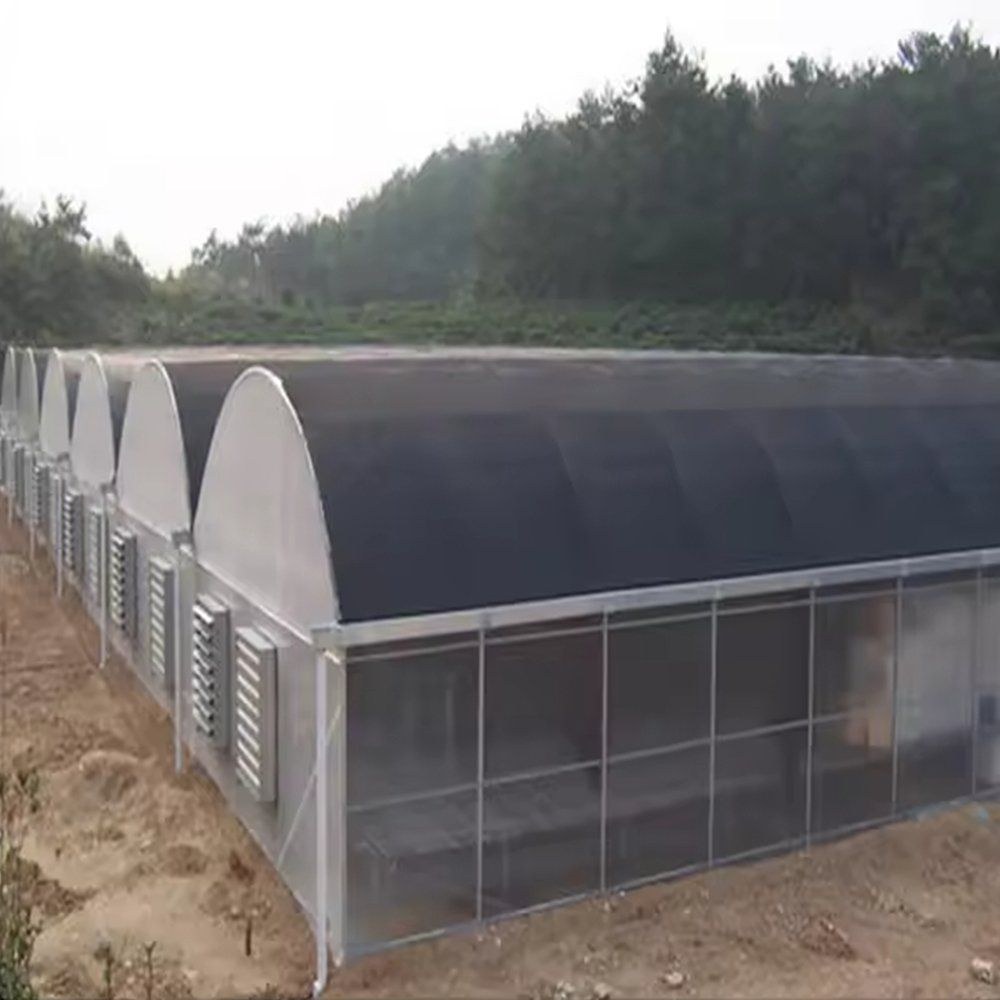 A row of arched panel greenhouses with louvre vents on the end walls
