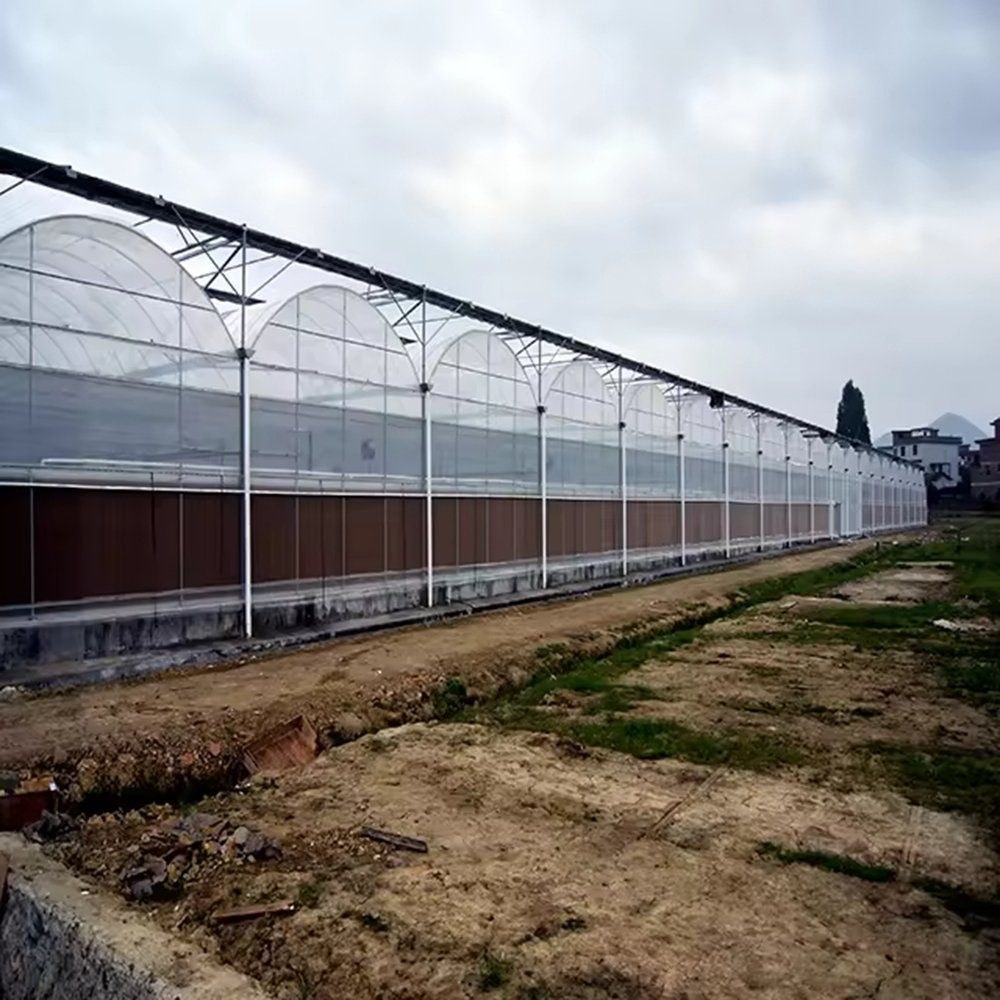 Range of arched greenhouses standing in a row on open ground
