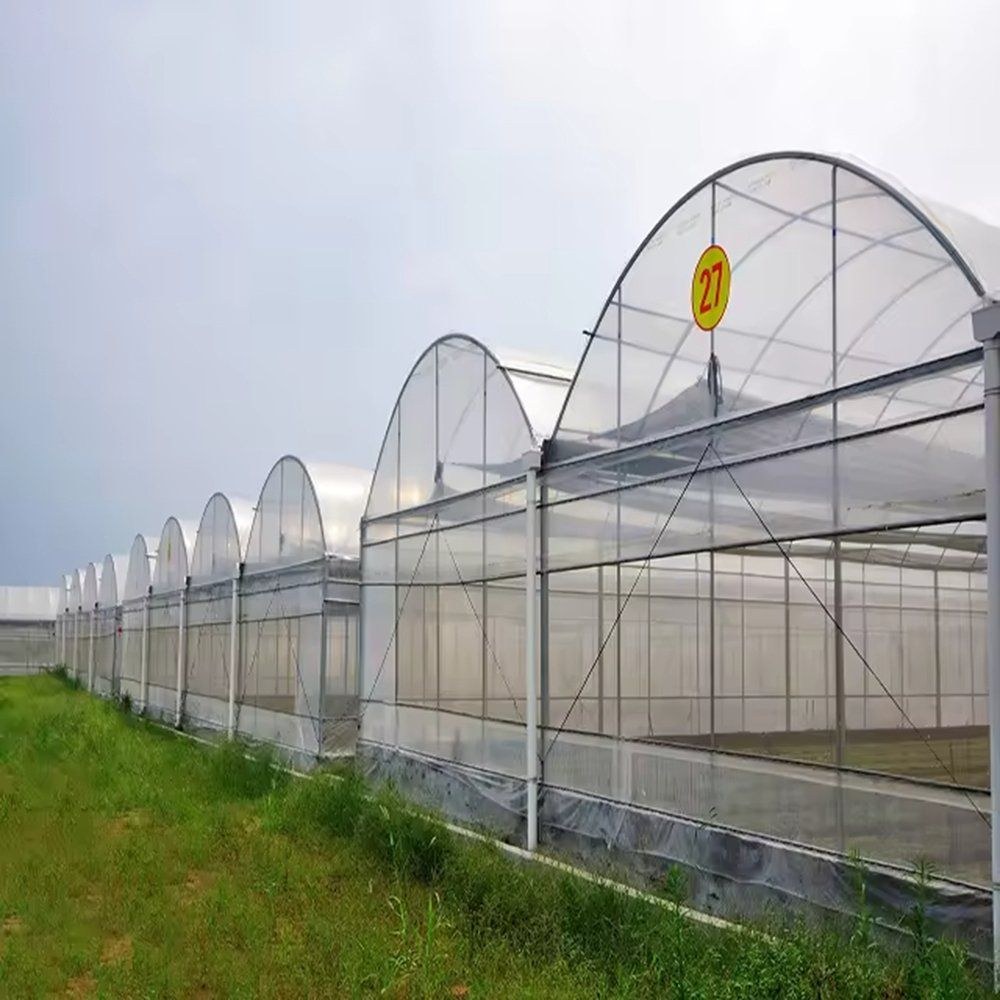Long row of arched greenhouses along a grass verge
