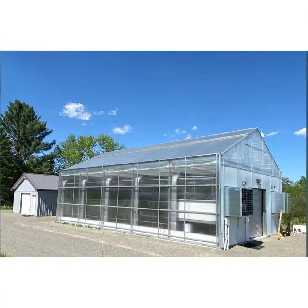 Greenhouse with a covered walkway running along the side