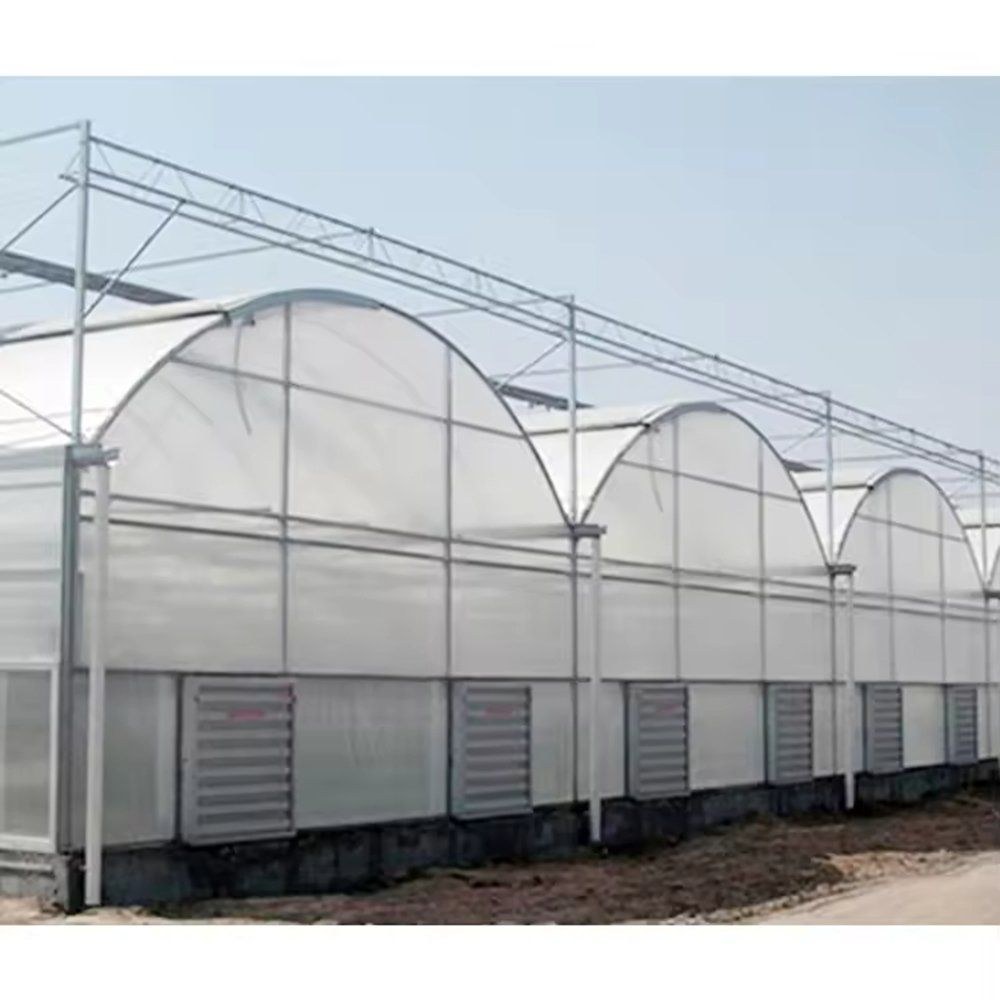 Arched film greenhouse with louvre openings set into the side wall