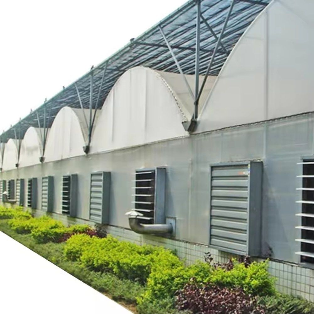Film greenhouse with louvre vents along the side wall beside a farm building