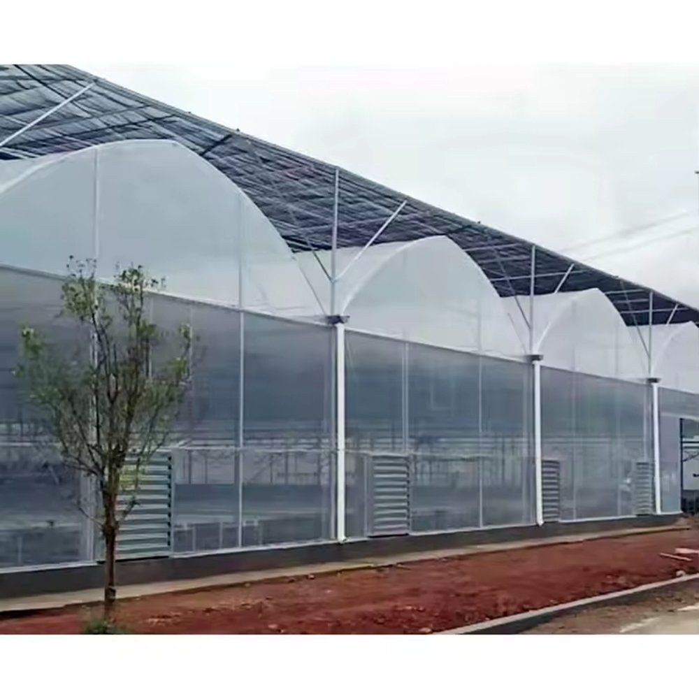 Arched film greenhouse with an external shade screen above it and a tree in front