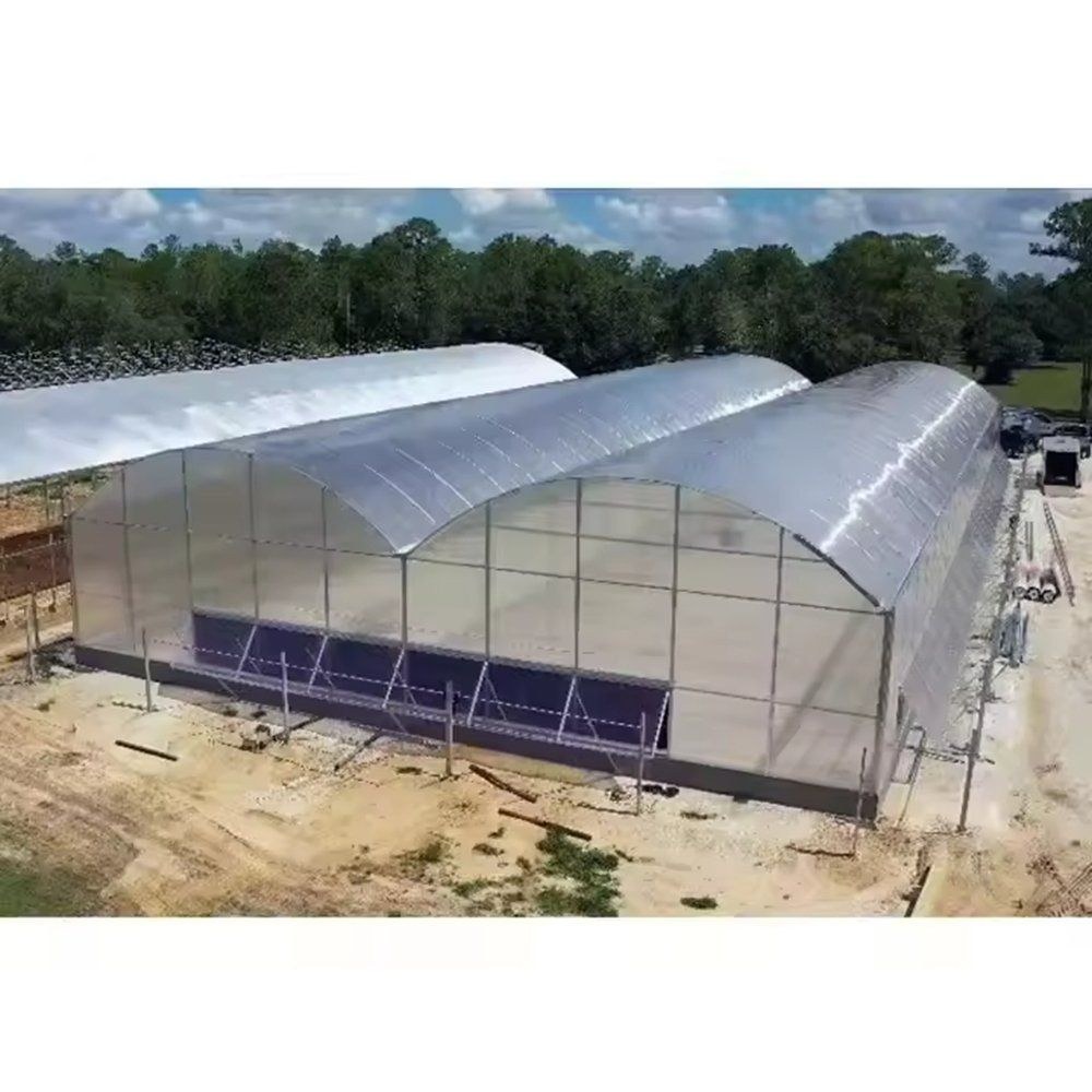 Arched film greenhouses with an irrigation main running along the front