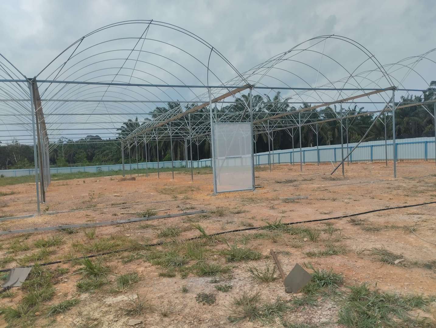 Galvanized steel frame of the greenhouse before the film cover is fitted