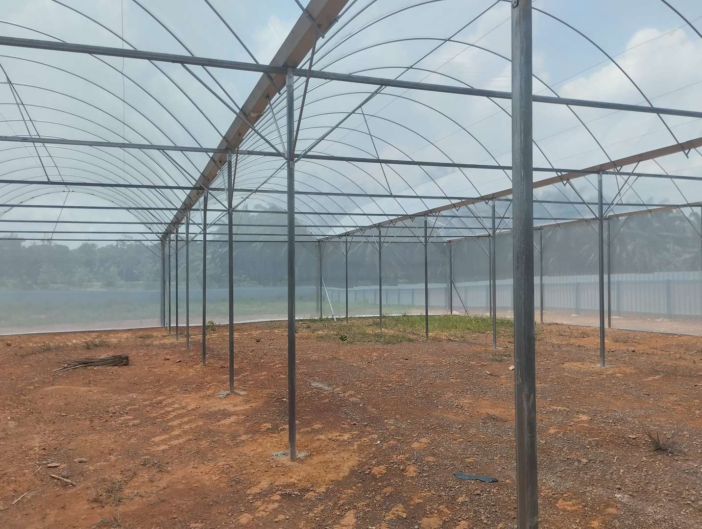Empty film greenhouse interior showing the frame and the dirt floor