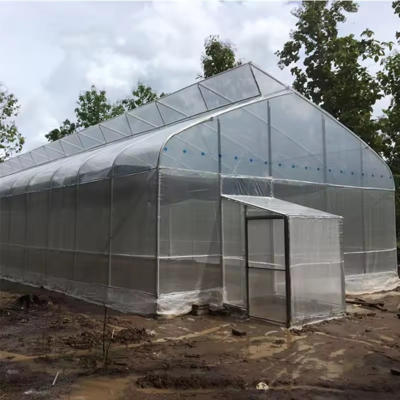 Film greenhouse with a gable end, entrance door and the ridge vent section on the roof