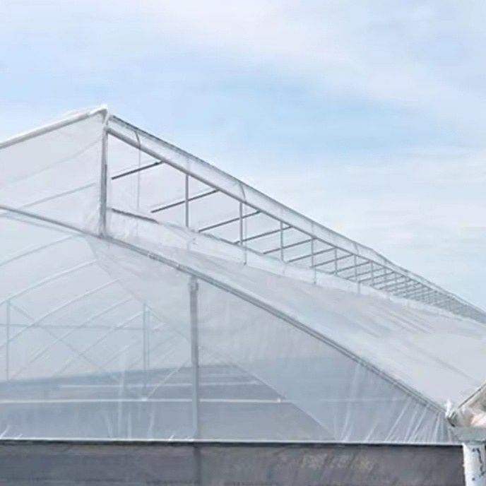Close view of the raised ridge vent above the film roof with the vent frame open