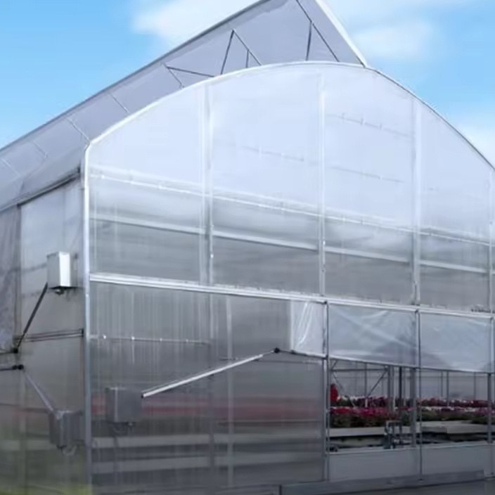 Two plain film greenhouses standing side by side on open ground
