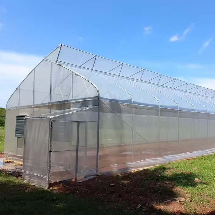 Film covered greenhouse with the cover in place and a door at the gable