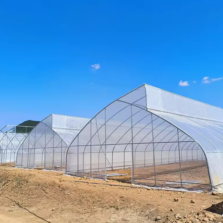 Natural Ventilation Sawtooth Greenhouse for Tropical Climate Control