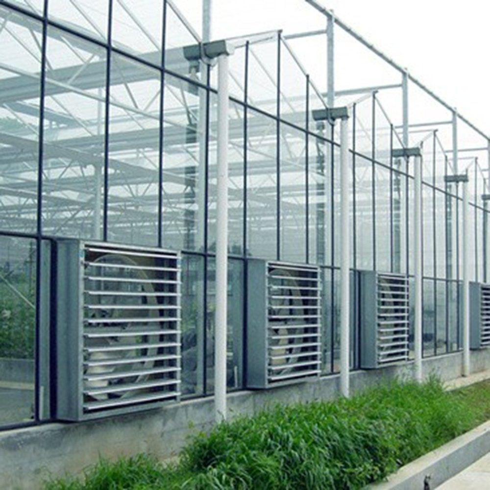 Exterior wall of a greenhouse with louvre vents set into the frame