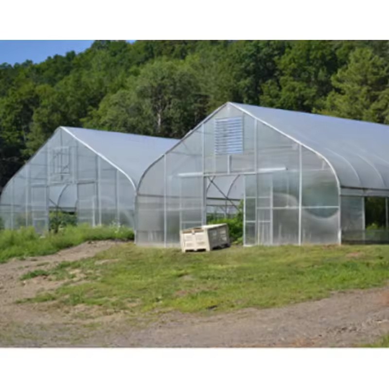 Two gable film greenhouses standing on grass beside a water drum