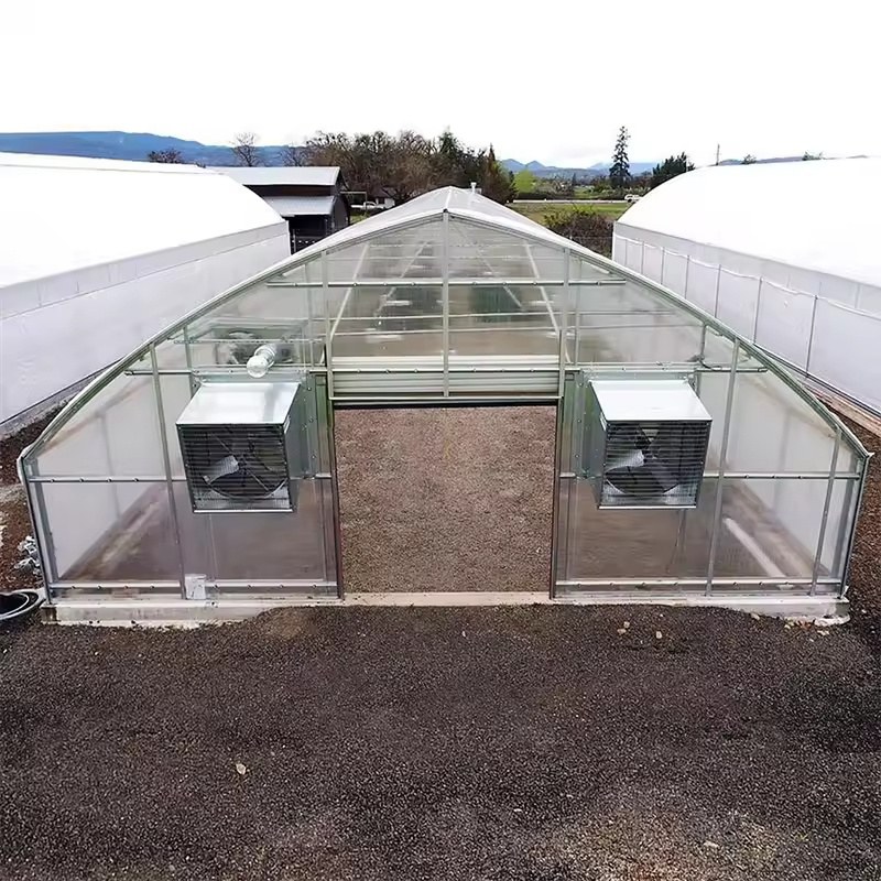 Gable greenhouse with fan and pad units fitted to the end wall