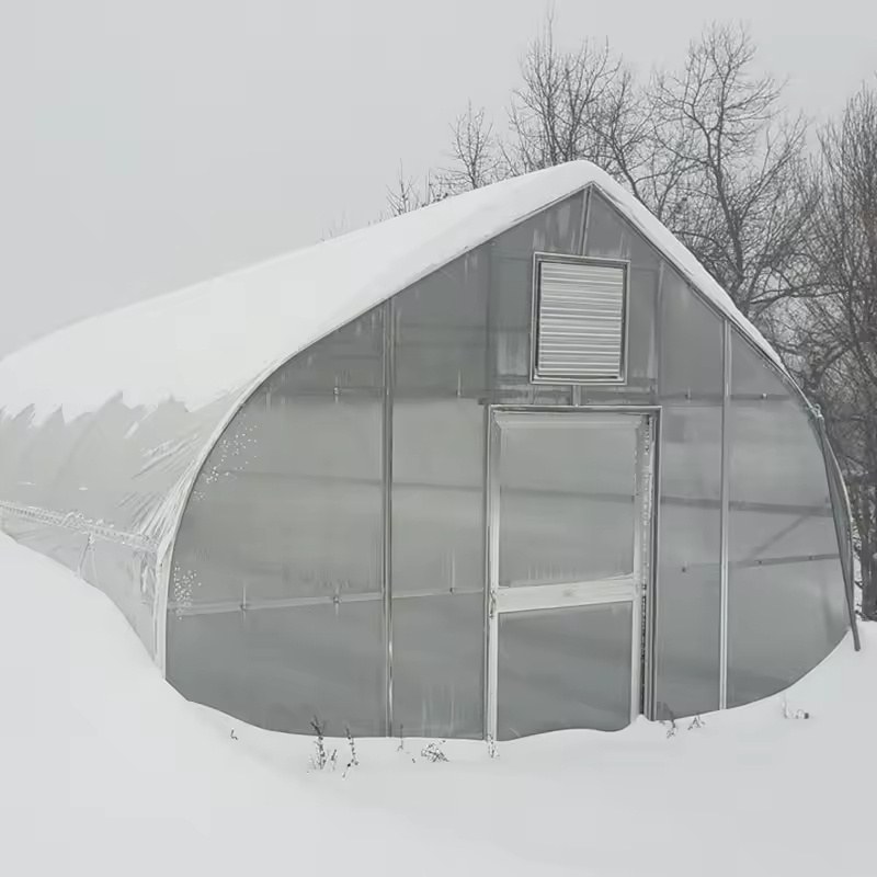 Greenhouse with snow lying on the roof and around the gable end