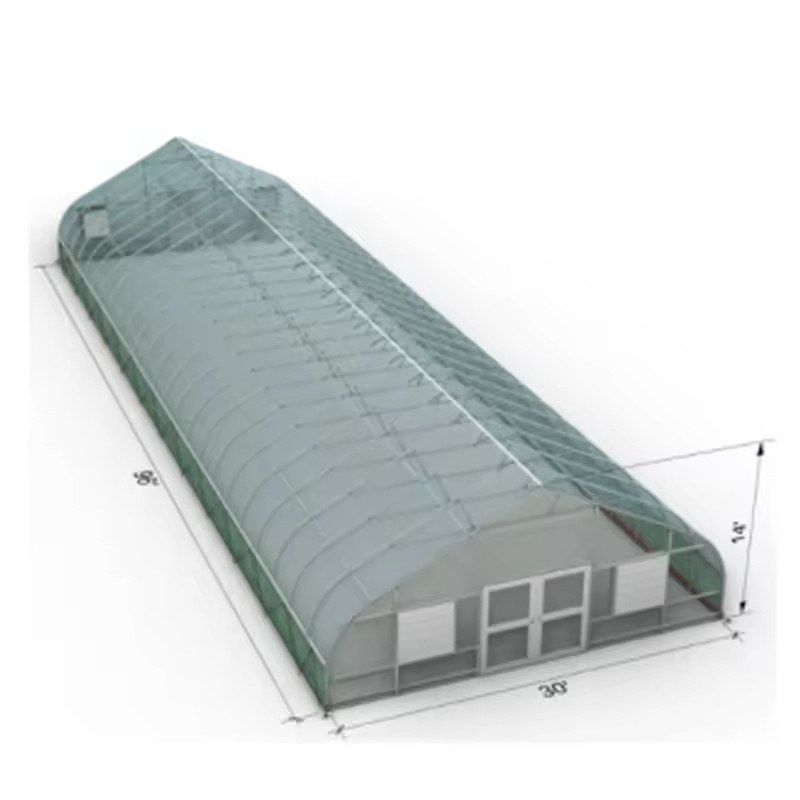 Long gable film greenhouse shown against a plain background