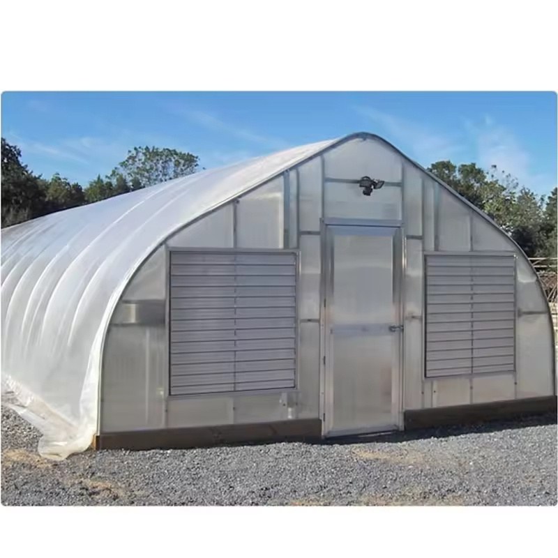 Snow Shedding Arch Greenhouse with Roll up Sides for Tomato Growers