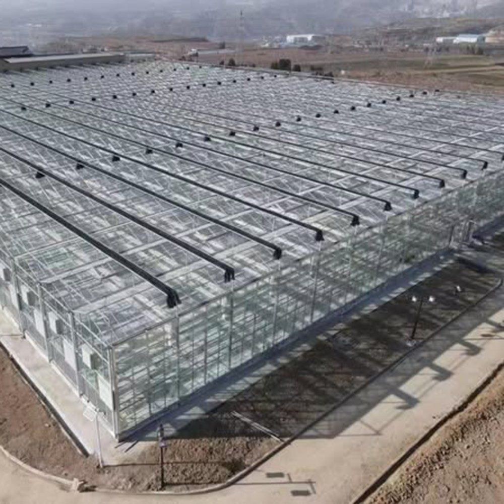 Aerial view of a greenhouse block set out on open ground