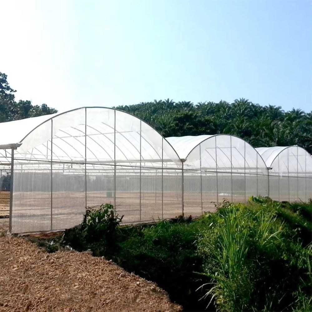 Arched film greenhouses standing behind a pond