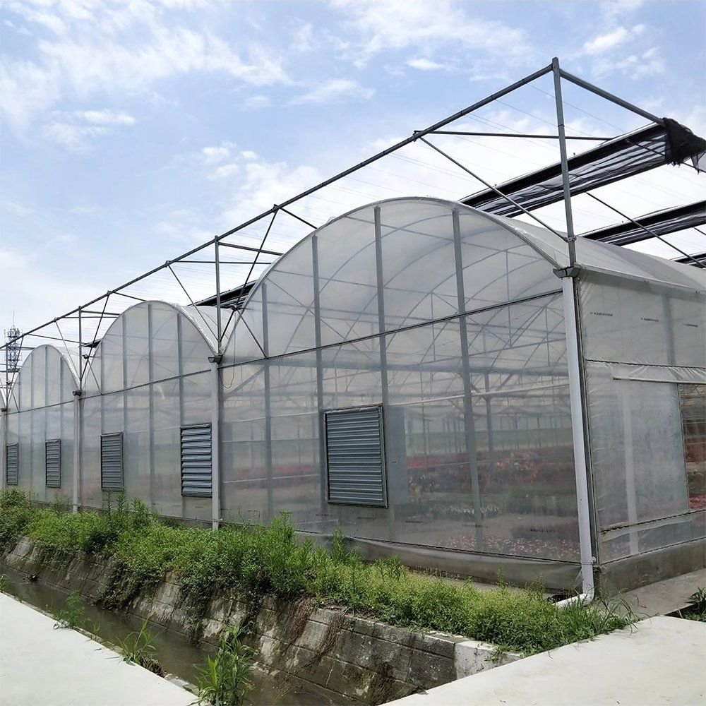 Arched film greenhouses with louvre vents and crops growing in front