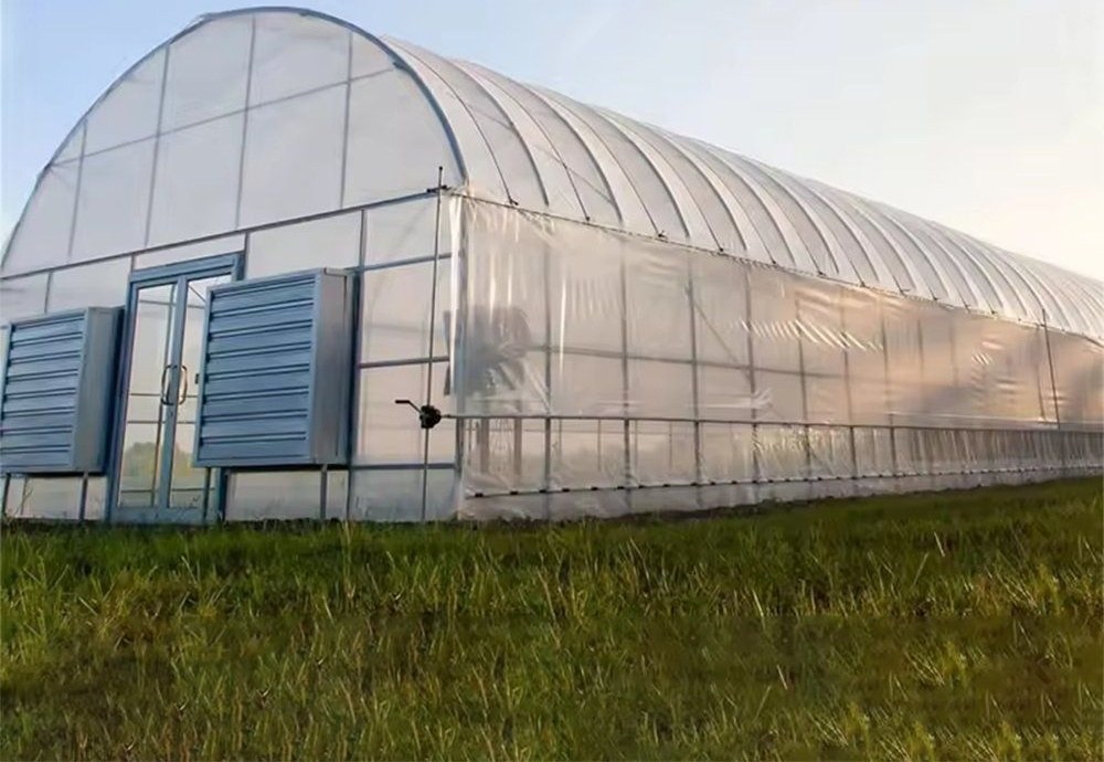 Arched film tunnel greenhouse with louvre vents in the gable end