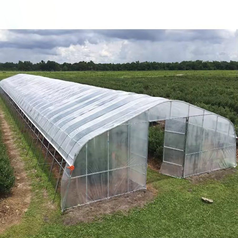 A row of arched film greenhouses on grass