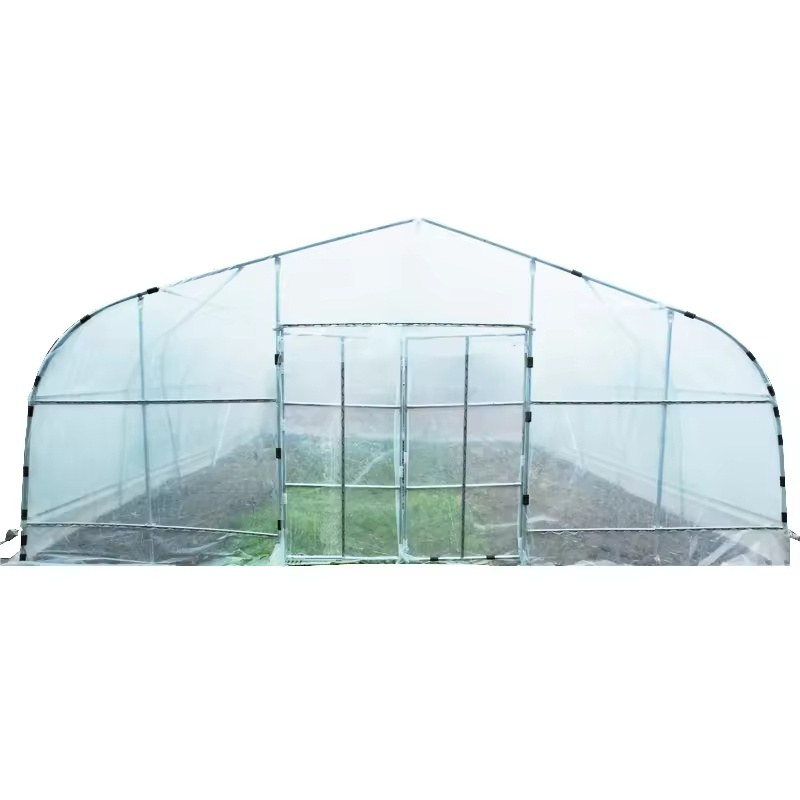 Arch Roof Tunnel Greenhouse with Galvanized Frame for Tomato