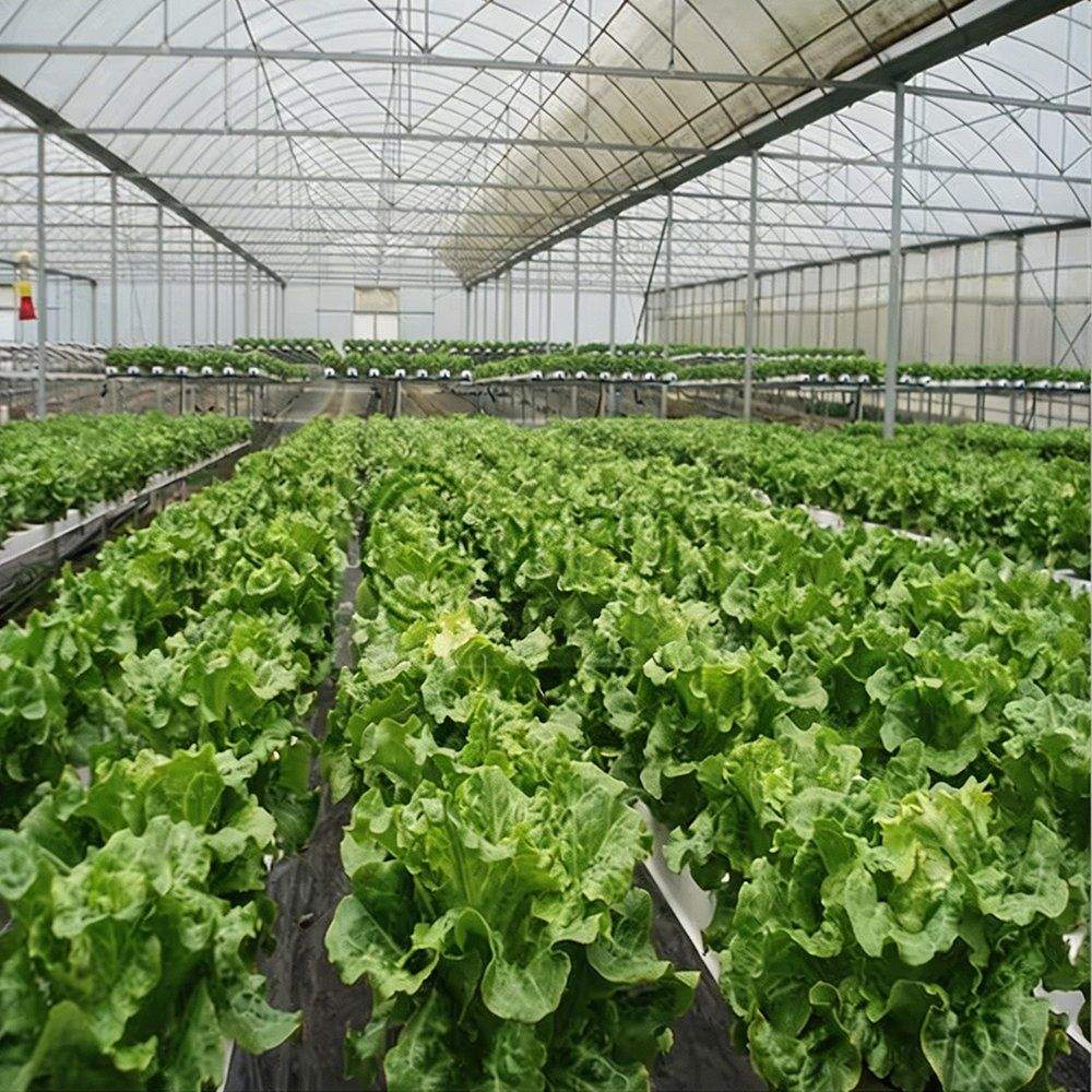 Smart Controlled Environment Agriculture Hydroponic Farming System