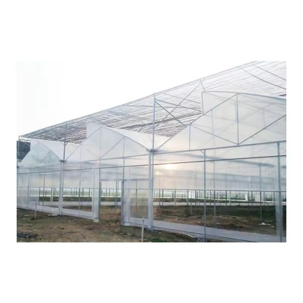 Galvanized steel greenhouse frame bays on a prepared site