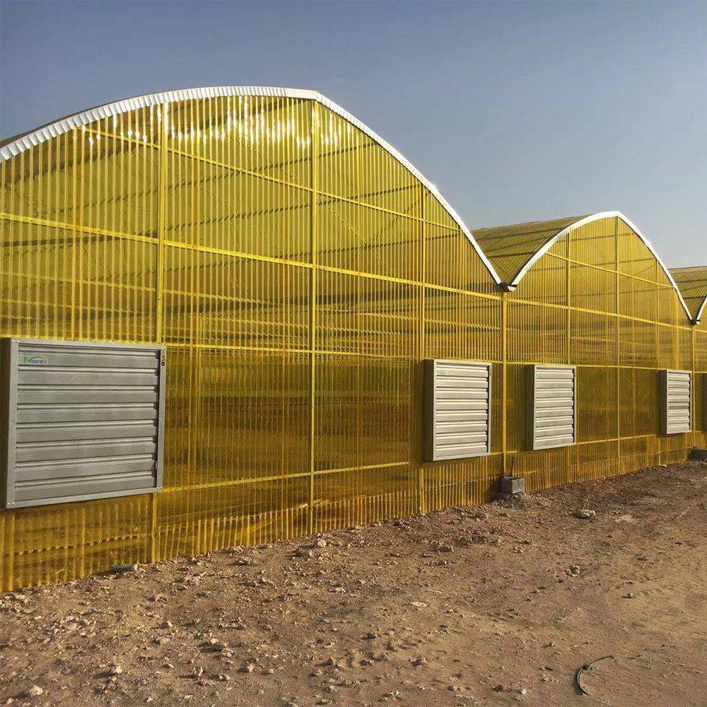 Multi span greenhouse with louvred side vents and a film cover