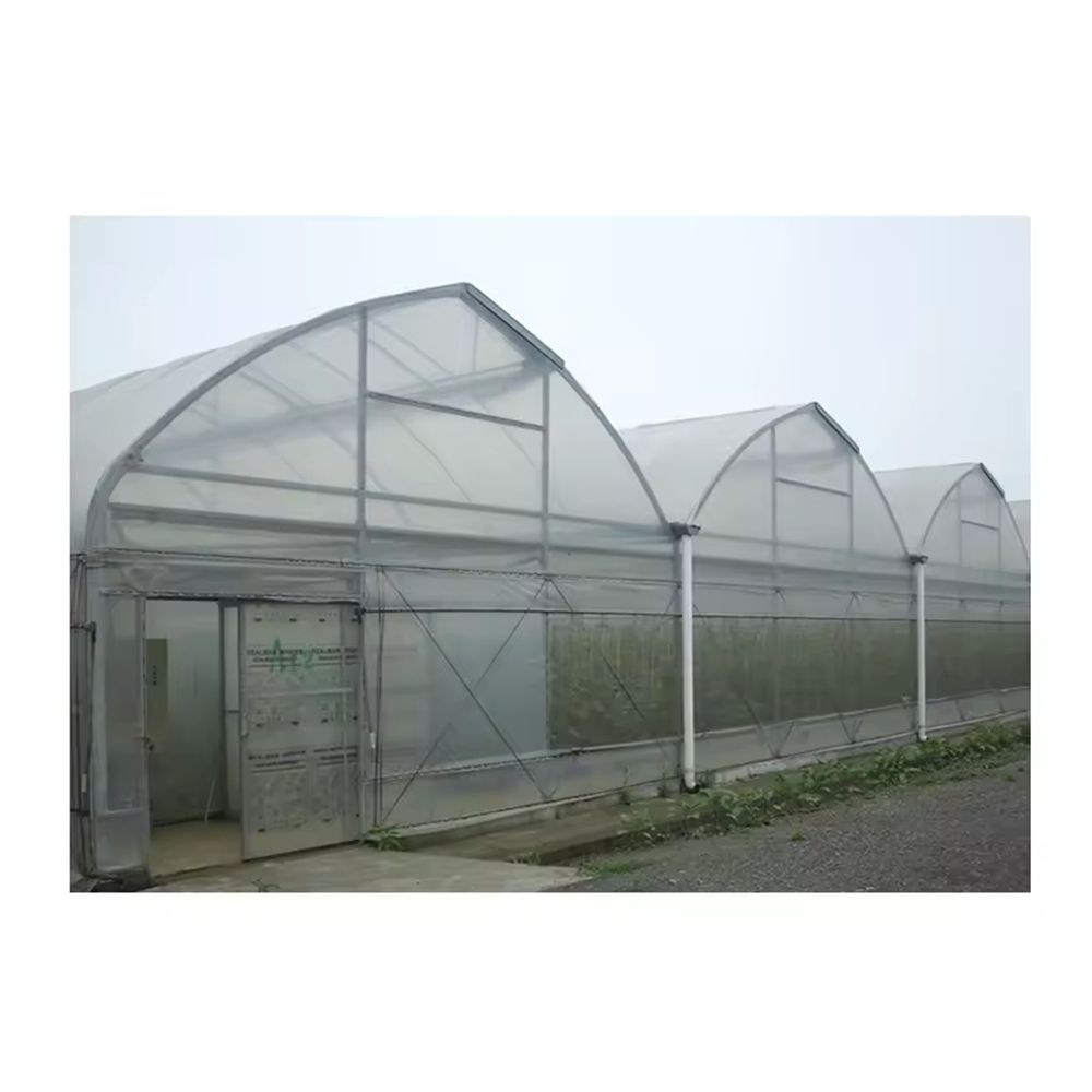 Wide multi span film greenhouse seen across a field