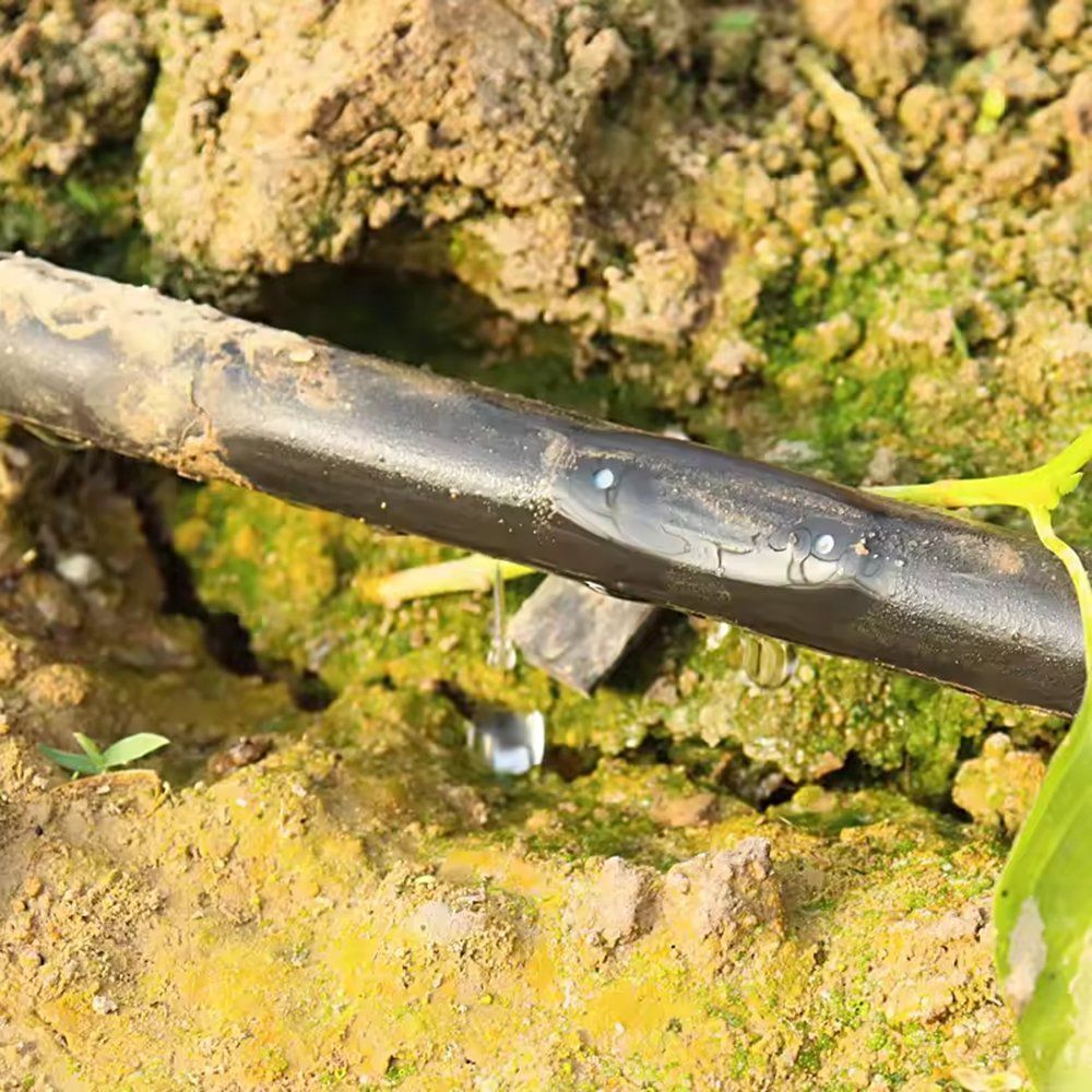 Close view of water leaving an emitter on a drip tape line
