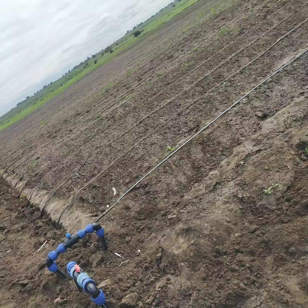 Drip tape running down a bare cultivated field with a blue valve fitting