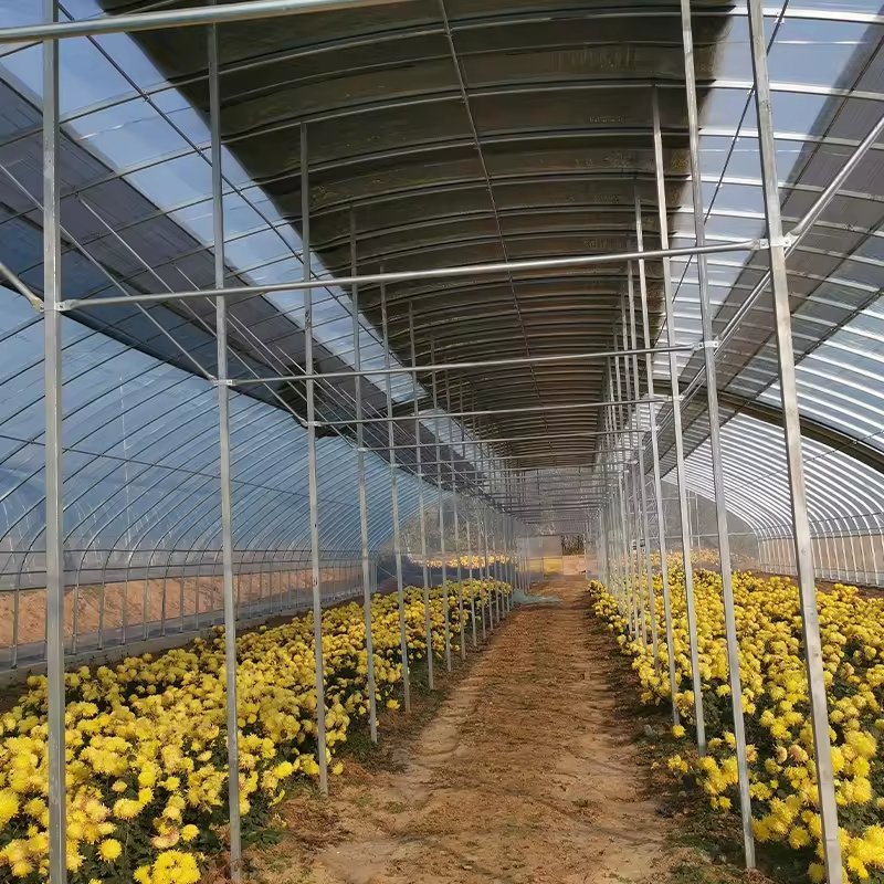 Interior of a greenhouse with flowers growing under a shade net