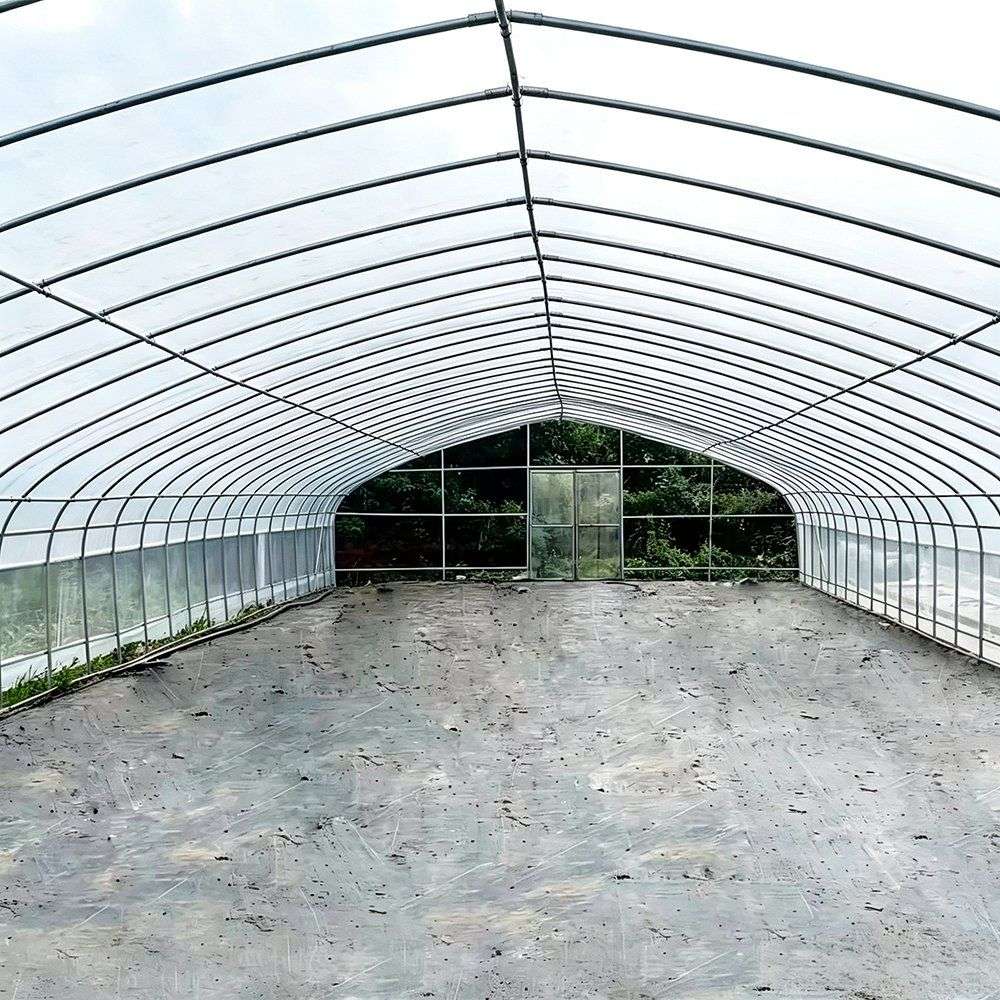 Empty galvanized arch frame inside a single span film greenhouse