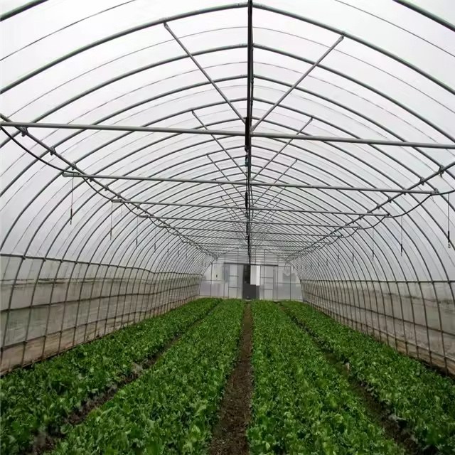 Greenhouse side wall with ventilation windows and a film cover