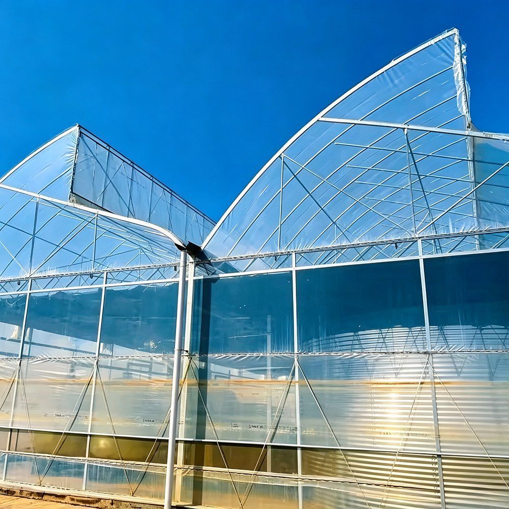 Commercial Gothic Multi Span Greenhouse for Cut Flower Cultivation